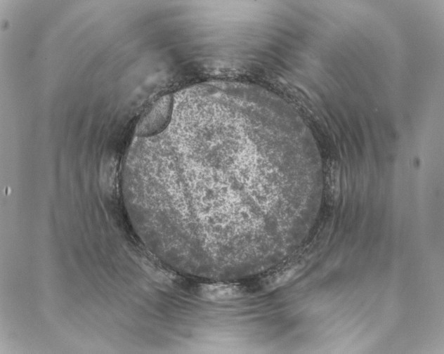 X0000088890511200706291443