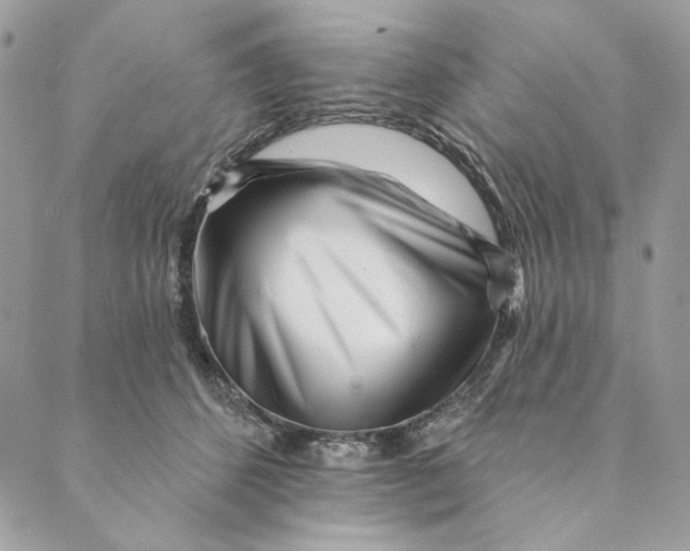 X0000088890512200706291443