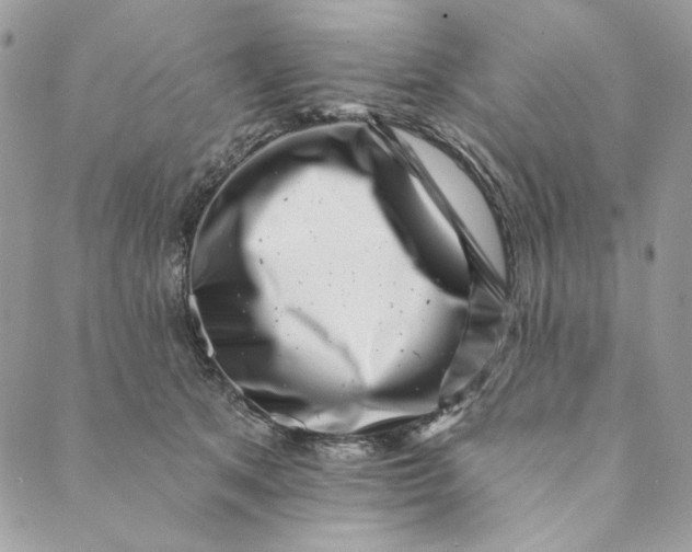 X0000088890513200706291443