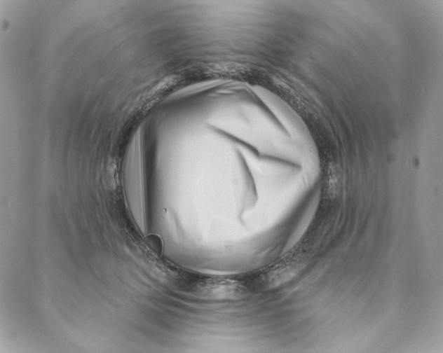 X0000088890514200706291443