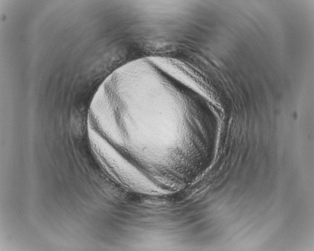 X0000088890515200706291443