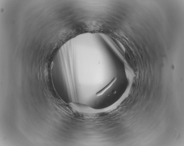 X0000088890516200706291443