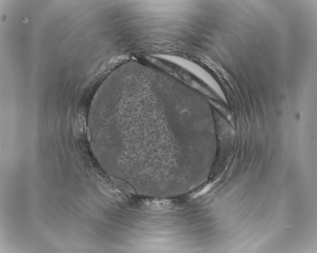 X0000088890517200706291443