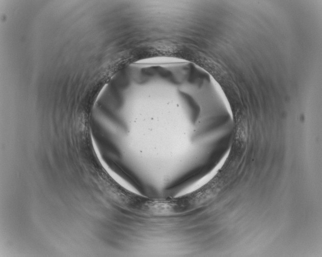 X0000088890518200706291443