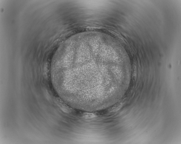 X0000088890519200706291443