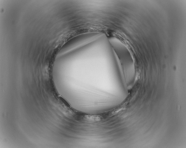 X0000088890520200706291443