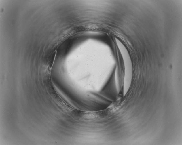 X0000088890521200706291443