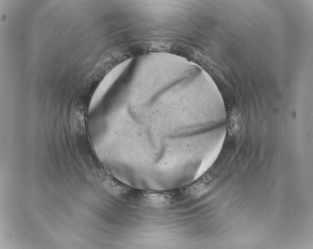 X0000088890522200706291443