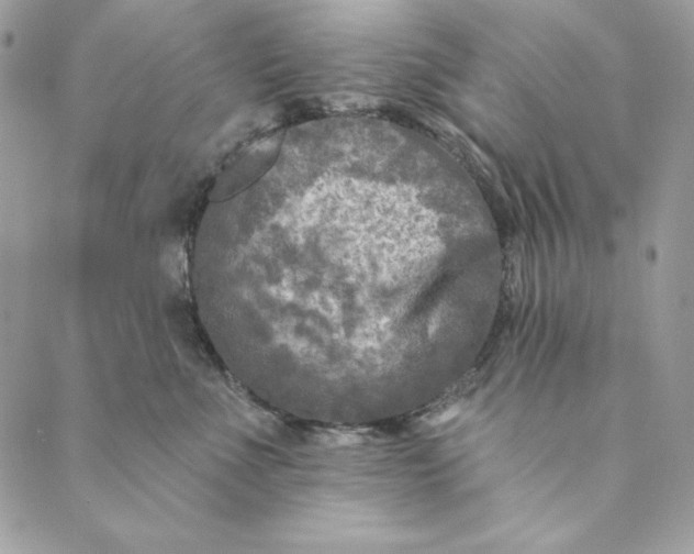 X0000088890523200706291443