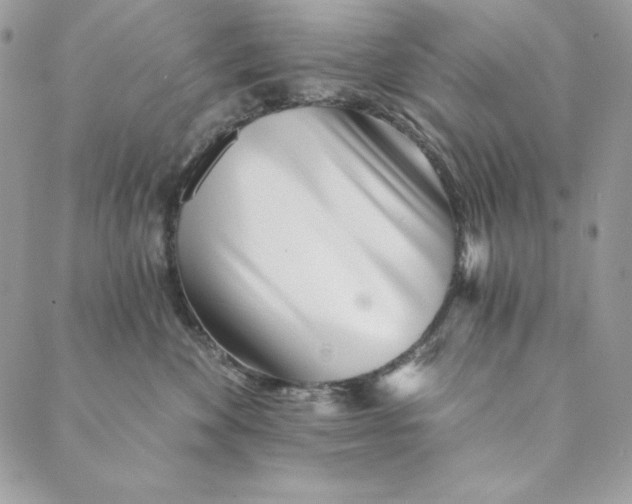 X0000088890524200706291443