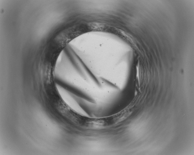 X0000088890525200706291443