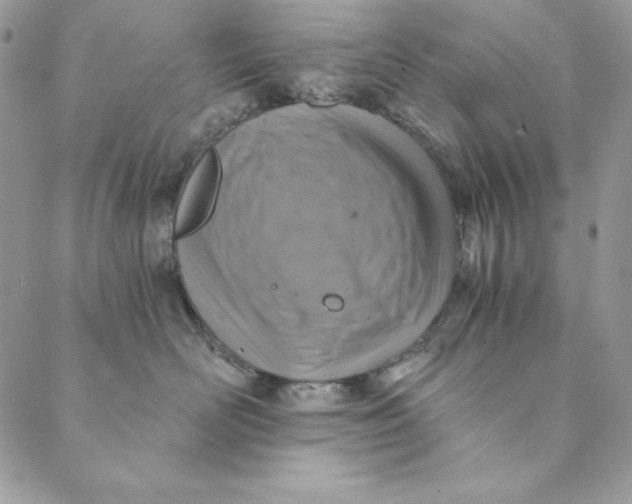 X0000088890526200706291443