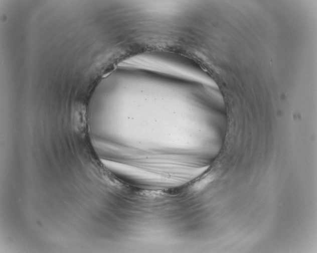 X0000088890528200706291443