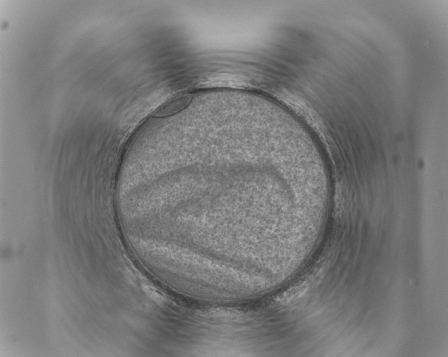 X0000088890529200706291442