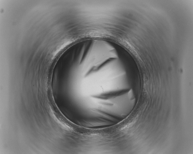 X0000088890530200706291442