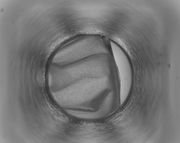 X0000088890531200706291442