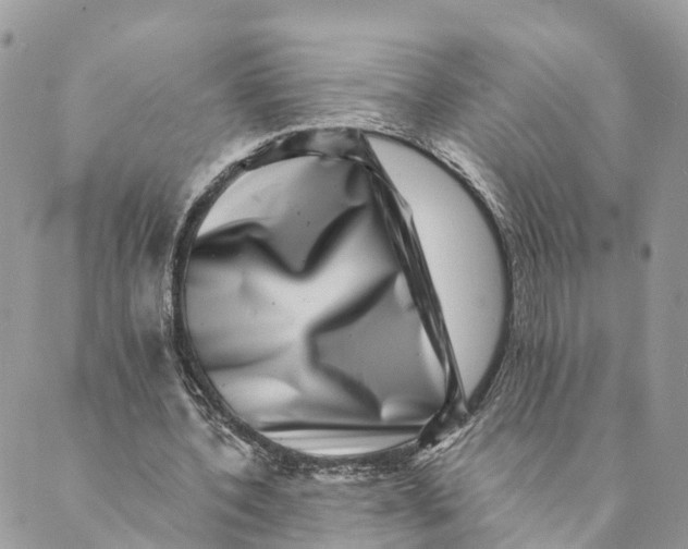 X0000088890532200706291442