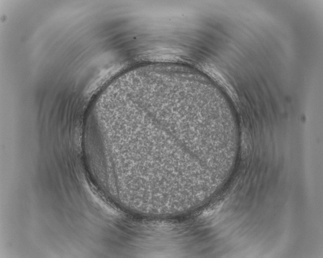 X0000088890533200706291442