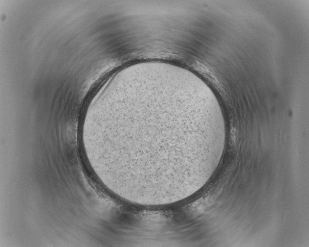 X0000088890534200706291442