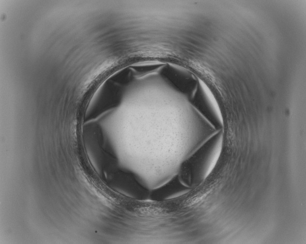 X0000088890535200706291442