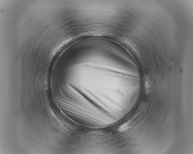 X0000088890536200706291442