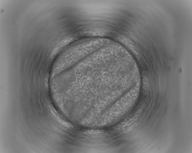 X0000088890537200706291442