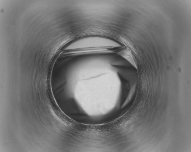 X0000088890538200706291442