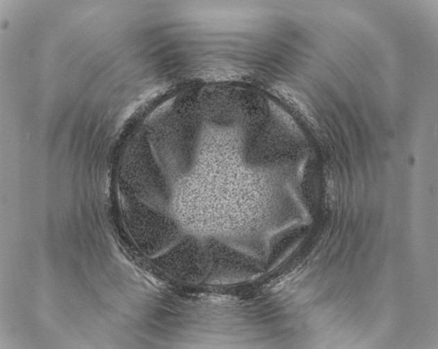 X0000088890539200706291442