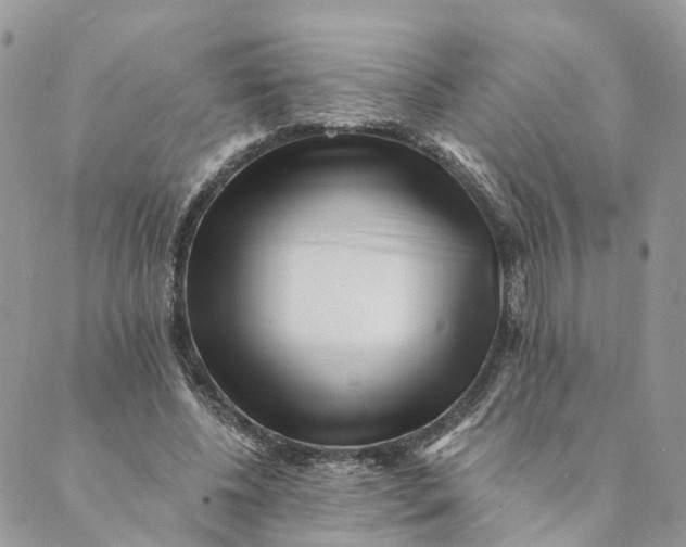 X0000088890540200706291442