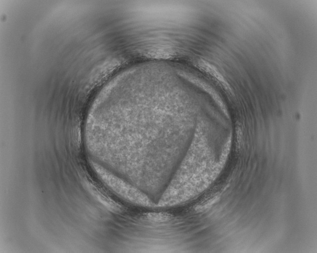 X0000088890541200706291442