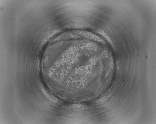 X0000088890542200706291442