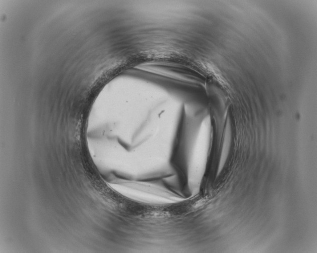 X0000088890543200706291442