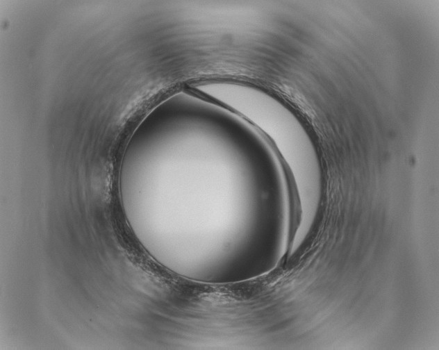 X0000088890544200706291442