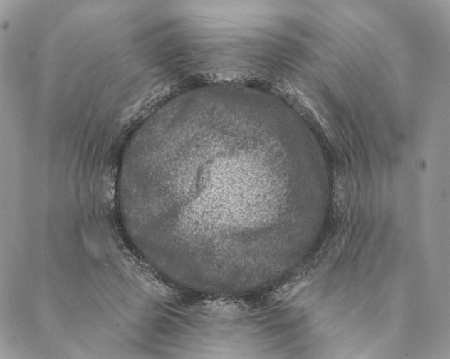 X0000088890545200706291442