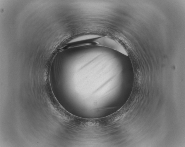 X0000088890546200706291442