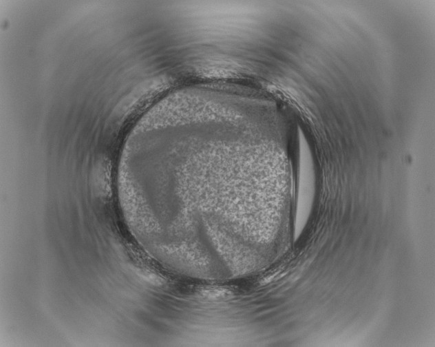 X0000088890547200706291442