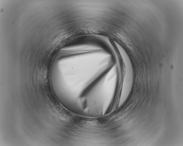 X0000088890548200706291442