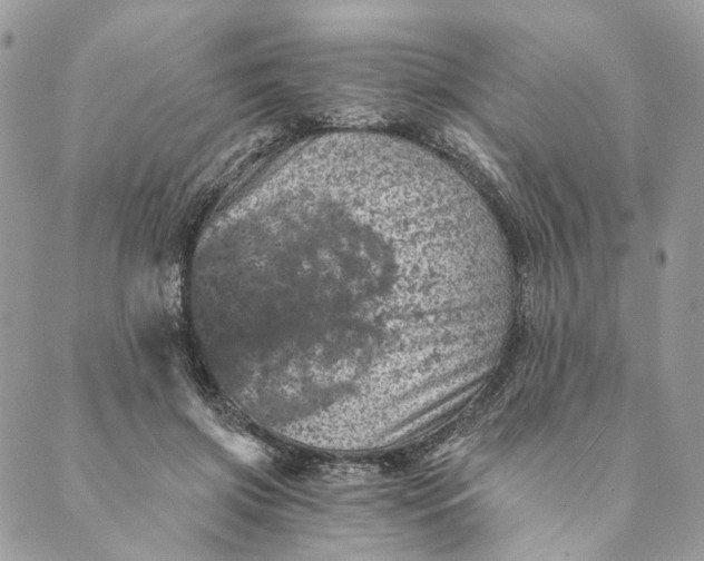 X0000088890549200706291442