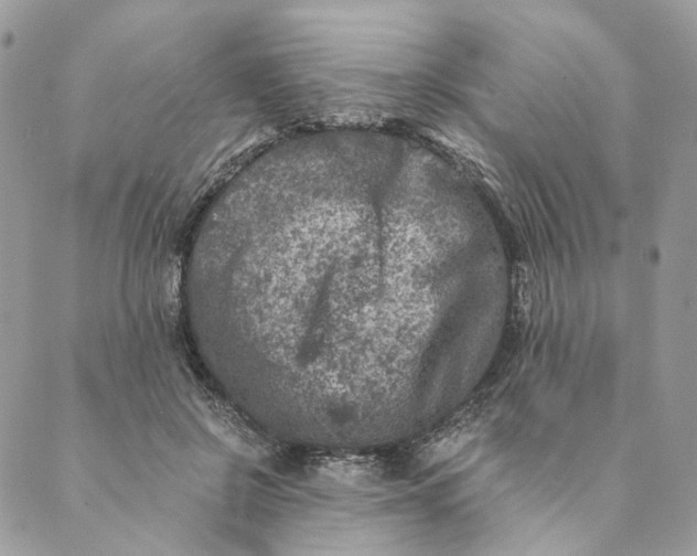 X0000088890550200706291442