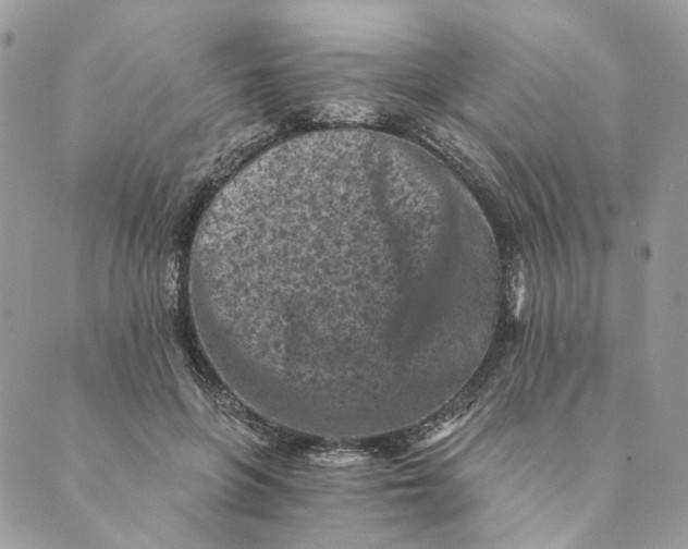 X0000088890551200706291442