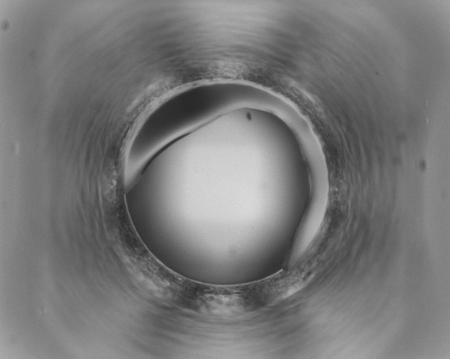 X0000088890552200706291442