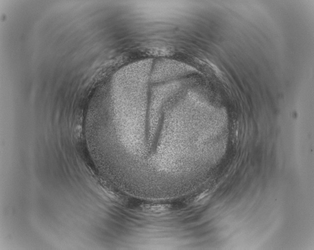 X0000088890553200706291442