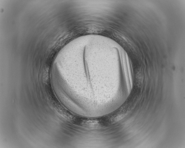 X0000088890554200706291442