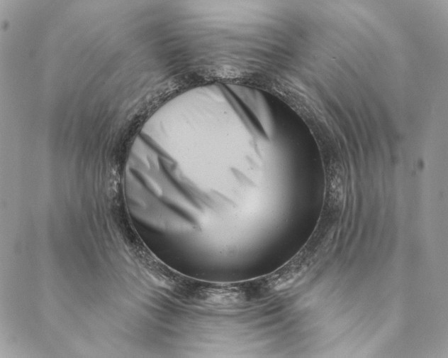 X0000088890555200706291442