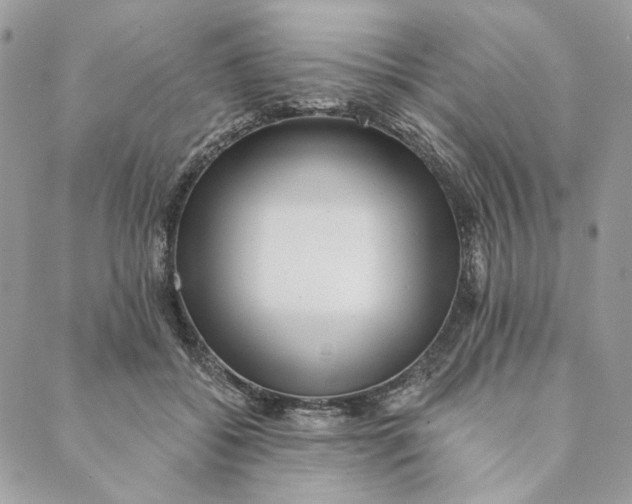 X0000088890556200706291442