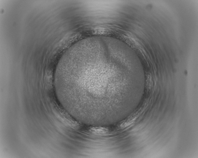 X0000088890557200706291442