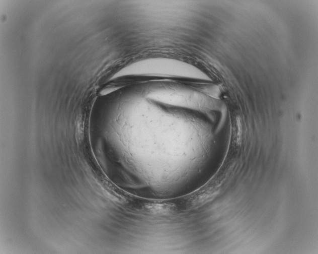 X0000088890558200706291442