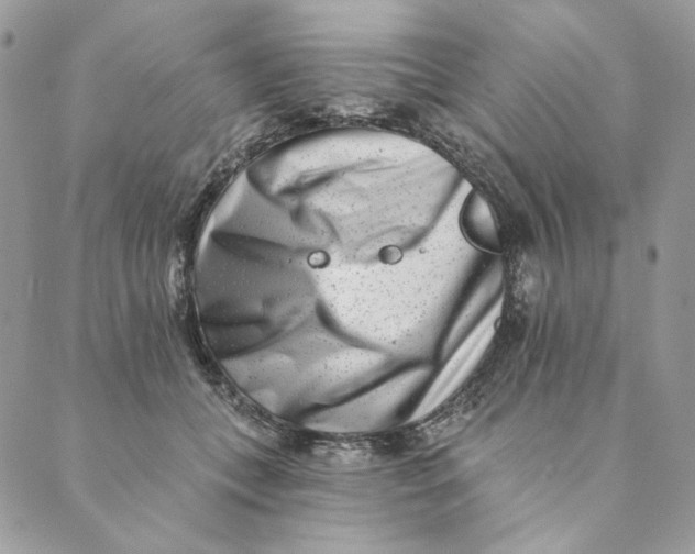 X0000088890559200706291442