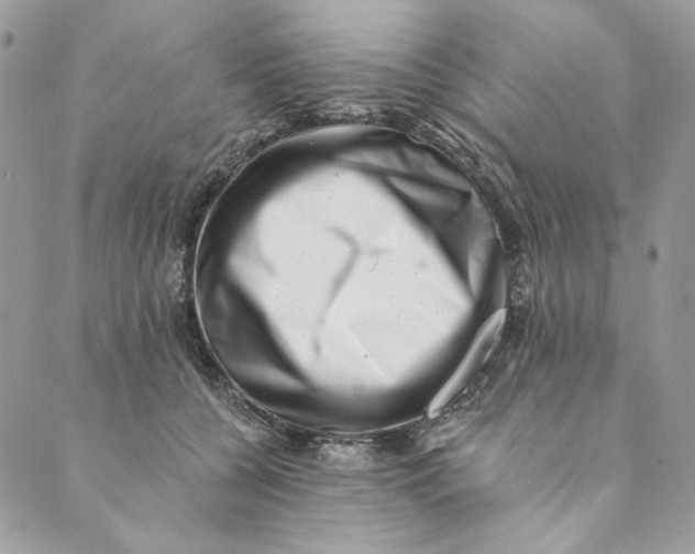 X0000088890560200706291442