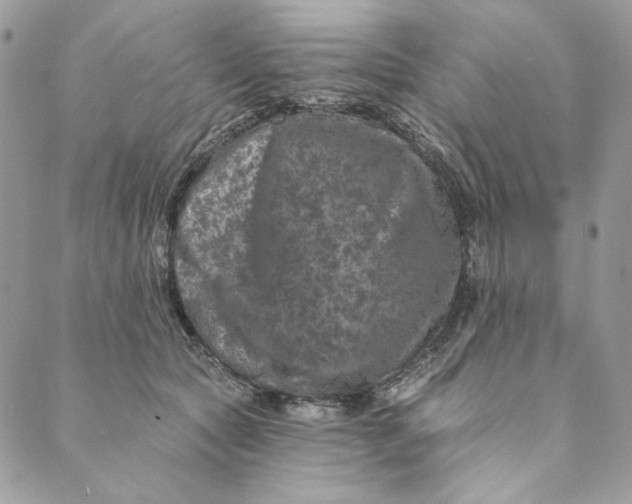 X0000088890561200706291442